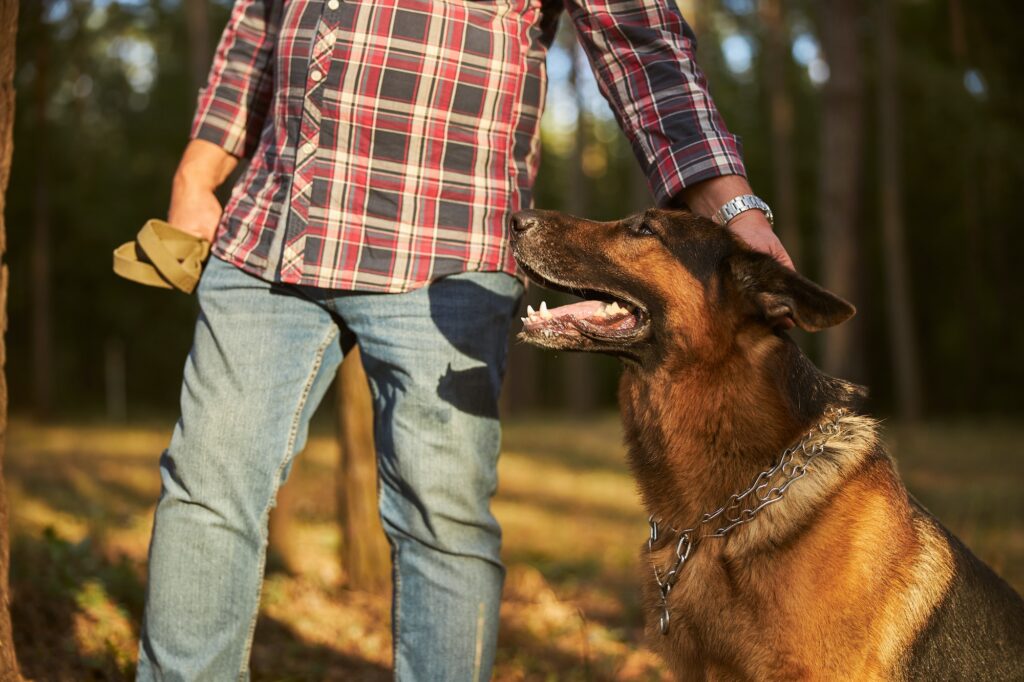 Man petting his german shepherd on the head